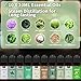 MISIJI Essential Oils SetMISIJI Essential Oils for Diffuser for HomeDiffuser Oils Scents for AromatherapyCandleSoap MakingLaundryHumidifiers 10 Scents Blissful - Image 4