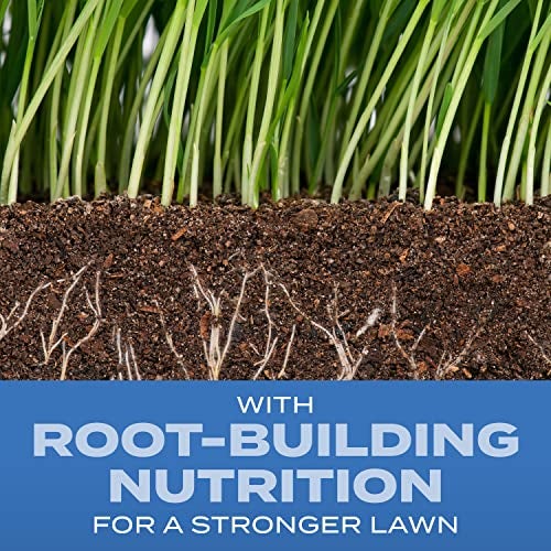 Scotts Turf Builder Grass Seed Sun & Shade Mix with Fertilizer and Soil Improver, Thrives in Many Conditions, 5.6 lbs. - Image 2