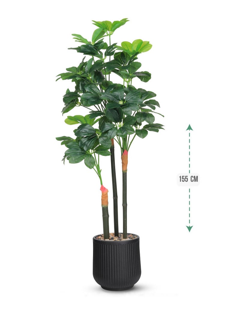 تالا شجرة شفليرا صناعية بثلاثة فروع بارتفاع 155 سم – ديكور داخلي أنيق يضفي لمسة طبيعية على المنزل والمكتب - Image 1