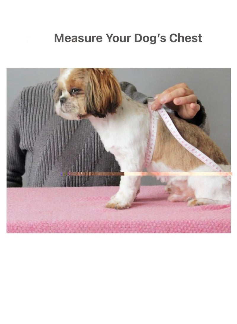 A.M Cute Floral Pattern Dog Dress with Lovely Bow Pet Apparel Dog Clothes for Small Dogs and Cats | Puppy Summer Dress Birthday Pet Apparel Dress (Size: L, Bust: 42cm, Length 32cm) - Image 5