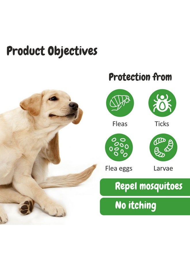 Harrods Bscly Neem Pet Herbal Shampoo 1000Ml - Ticks & Fleas Prevention, Enriched With Aloe & Coconut Oil, Ph Balanced Dog Shampoo, Heals Skin, Suitable For Pomeranians To Golden Retrievers  - Image 5