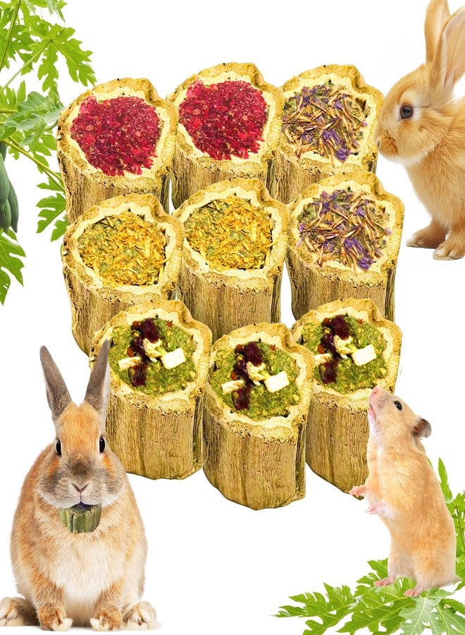 Tyotrbs 100g Rabbit Chew Toys for Bunny,4 Varieties Natural Papaya Wood Chew Treats with Organic Alfalfa Hay, Dried Carrot, Apple and Sweet Potato for Rabbits Guinea Pigs Hamsters Chinchillas Gerbils - Image 1