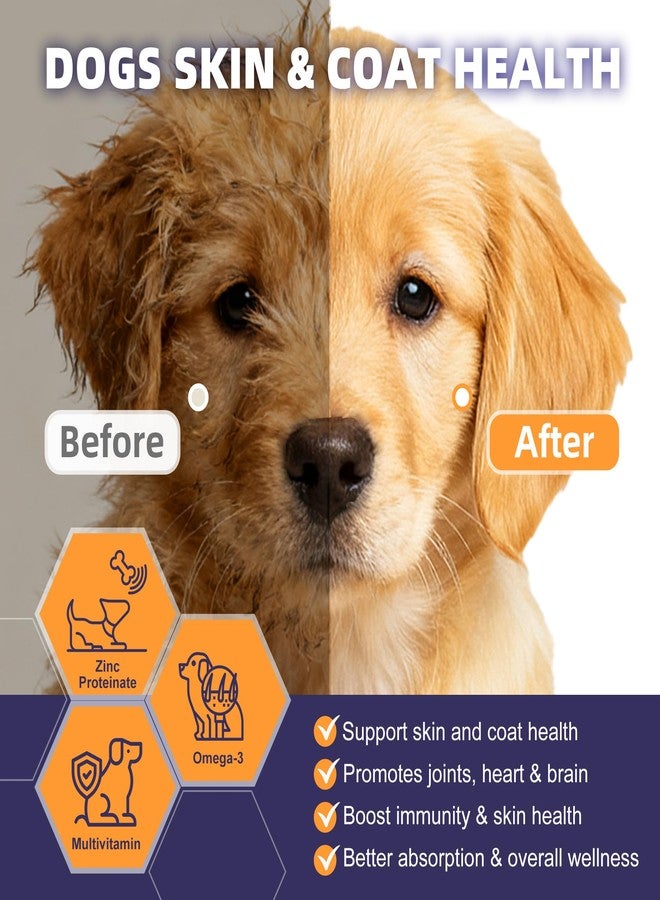 NATURE TARGET Probiotics for Dogs, 6 Billion Dog Probiotics with Prebiotics & Enzymes for Digestive & Gut Health, Pumpkin, Omega-3 & Multivitamins for Itchy Skin, Allergies, 120 Dogs Probiotics Chews - Image 5