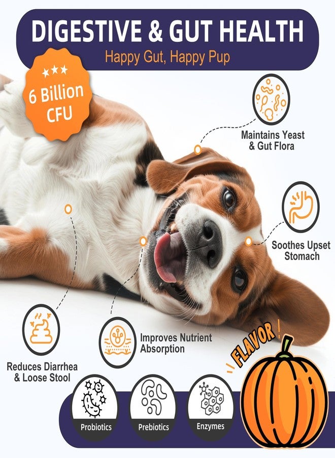 NATURE TARGET Probiotics for Dogs, 6 Billion Dog Probiotics with Prebiotics & Enzymes for Digestive & Gut Health, Pumpkin, Omega-3 & Multivitamins for Itchy Skin, Allergies, 120 Dogs Probiotics Chews - Image 3