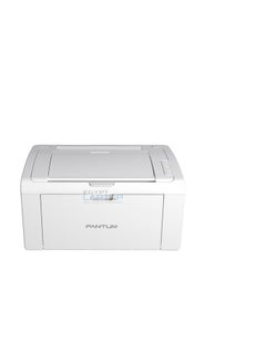P2509W Mono Laser Single Function Printer