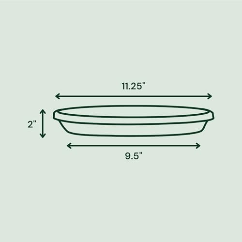 Bloem Terra Resin Saucer Tray: 9.25" Bottom Width - Black - Matte, Durable, Ribbed Bottom, Indoor and Outdoor, Fits 12" Terra Pots, Made in USA - Image 2