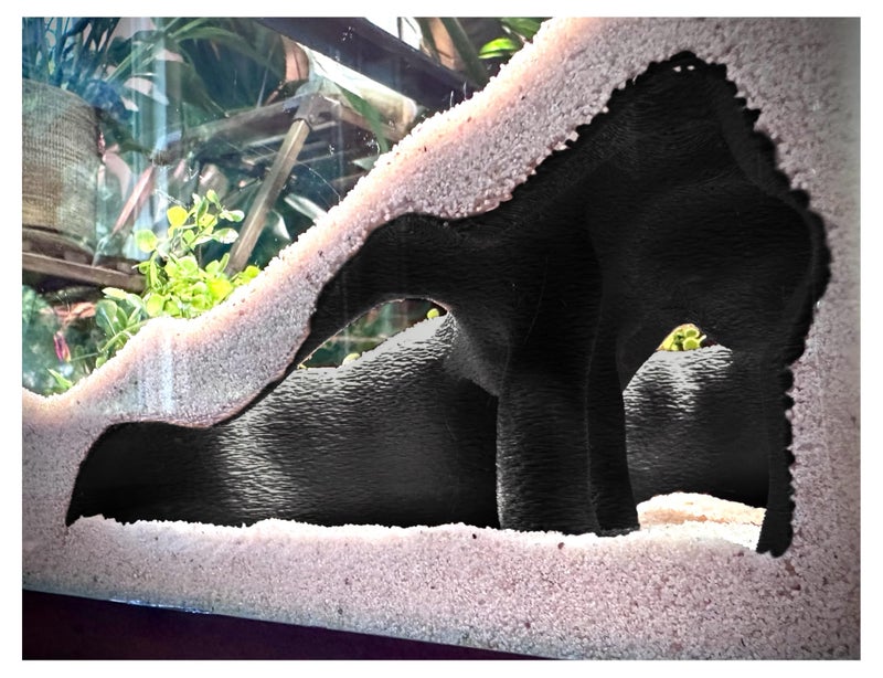 FROSTO Aquarium & Terrarium Corner Underground Cave â€“ Faux Mangrove Root Hideout for Betta, Corydoras, Shrimp, Geckos & Snakes â€“ Natural-Look Tank Decor in Textured Root Style (Charcoal, 7.5" x7.5''x4) - Image 1