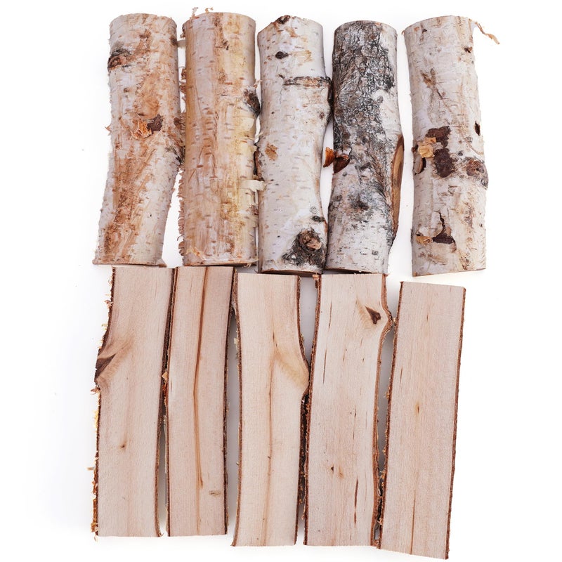 BYHER Natural Birch Wood Logs for Crafts, 10Pcs 4.7 Inch Rustic Vase Fillers for Floral Arrangements, DIY Craft Decor, Unfinished Crafts for Centerpieces - Image 1