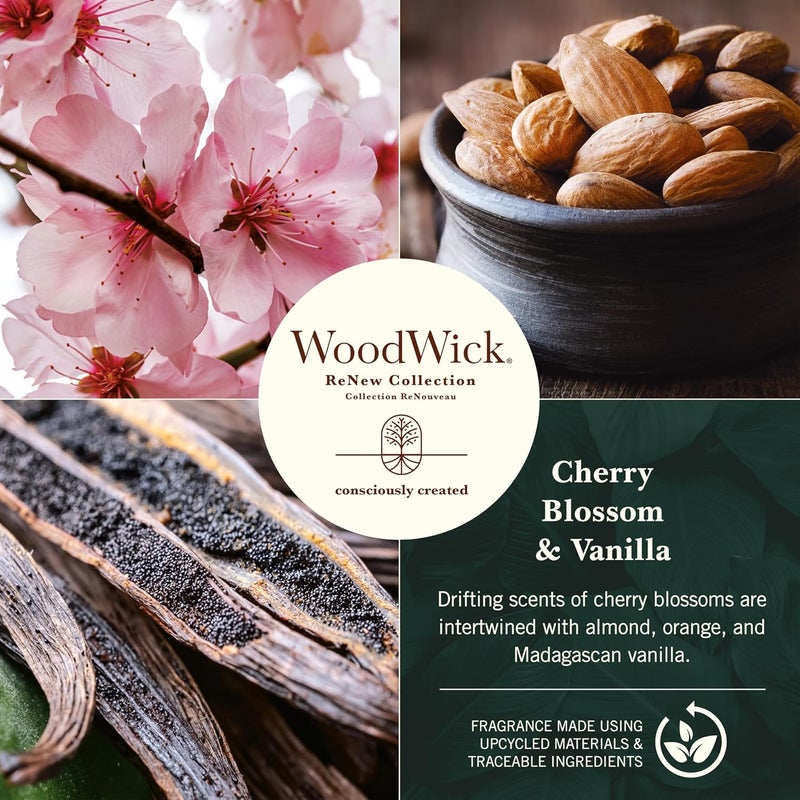 وودويك شمعة WoodWick Renew عطرية بنكهة زهور الكرز والفانيليا | شمعة متوسطة الحجم | مزيج من شمع الصويا وجوز الهند النباتي | مصنوعة من مواد معاد تدويرها | هدايا مثالية للنساء - Image 2