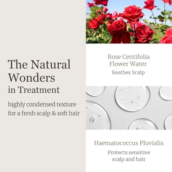 Dr.Bio Dr. Bio Wrap-Up Treatment (25.36oz/750ml)| Damaged Hair Repair Treatment, Moisturizing Protein Conditioner for Volume with Probiotics & Amino Acid, Sensitive Scalp Relief, Korean Hair Care, Vegan - Image 5