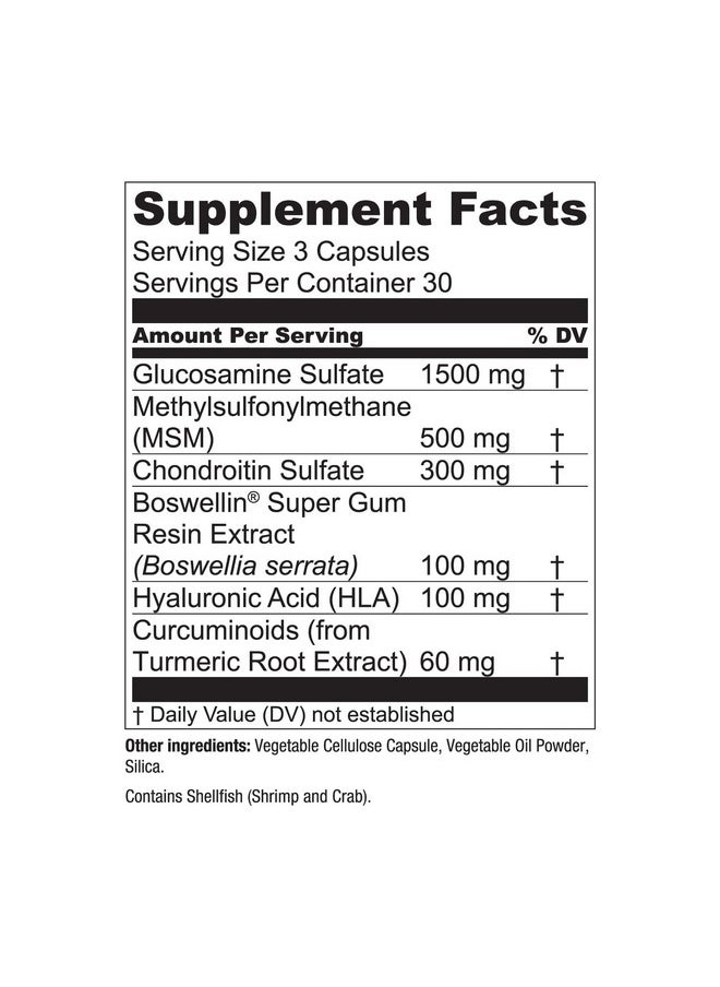 Essential Elements - Essential Elements Glucosamine Chondroitin MSM Boswellia Serrata Hyaluronic Acid Supplement Joint Support Antioxidant Supplement for Flexibility - 180 Capsules (2-Pack) - Image 1