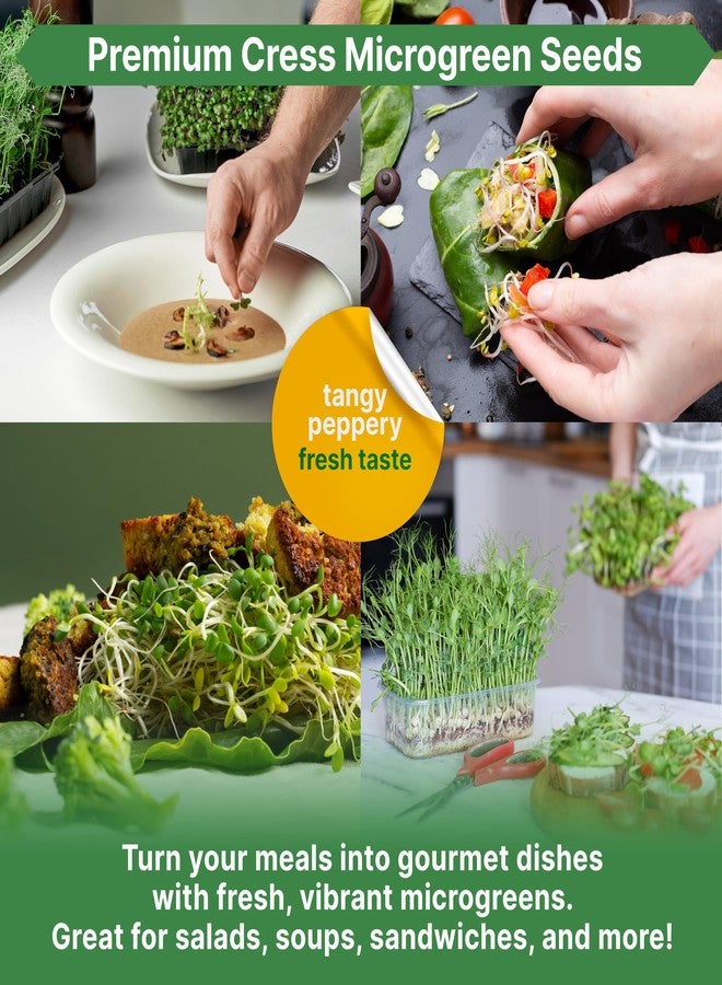 Organo Republic Cress Sprouts & Microgreens Seeds - GMO Heirloom Seed Kit, 1lb Resealable Bag for & Growing Microgreens in Soil, Coir, Aerogarden & Hydroponic System - Image 5