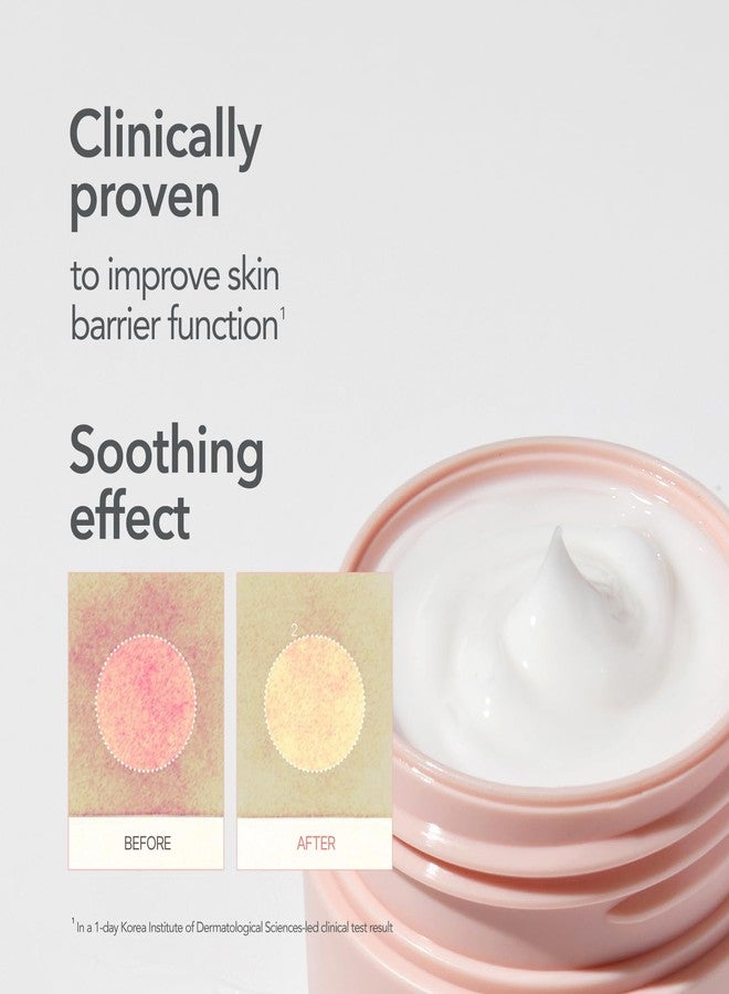 107 EVERYDAY PLUMP Hydro Cream, Lightweight Face Moisturizer with Probiotics, Squalane, and Fermented Ginseng, Hydrates, Nourishes, and Enhances Skin's Radiance and Softness (1.7 fl oz) - Image 4