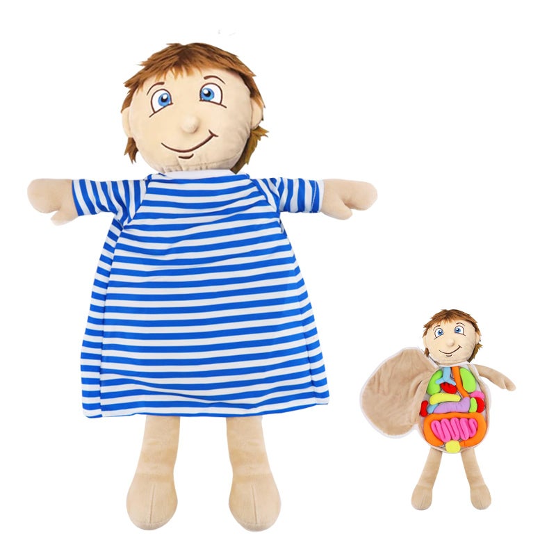 vocheer Human Body Anatomy Toy Montessori Preschool Educational Organ Plush Toys for Kids Science Learning Kits for Student Body Organ Awareness Teaching Tools for Boys - Image 2