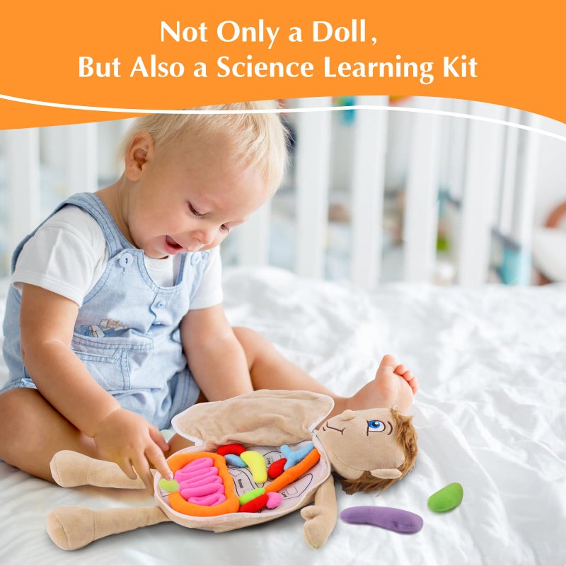 vocheer Human Body Anatomy Toy Montessori Preschool Educational Organ Plush Toys for Kids Science Learning Kits for Student Body Organ Awareness Teaching Tools for Boys - Image 3