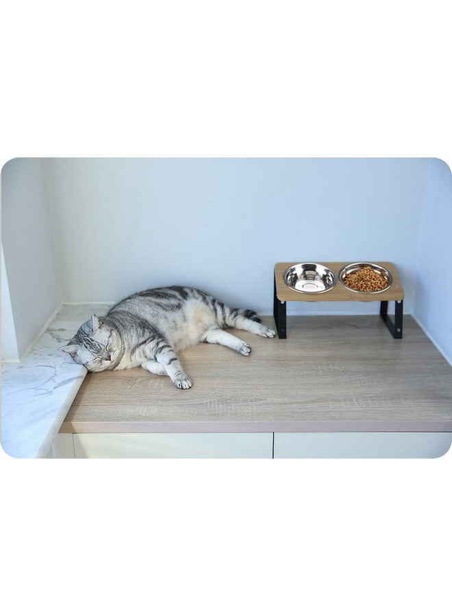 AYADA Elevated Cat Bowls, Height Adjustable Raised With Stand Lifted Ergonomic Anti Vomiting Non Slip Slanted Tilted Double Bowls Food Water Stainless Steel - Image 4