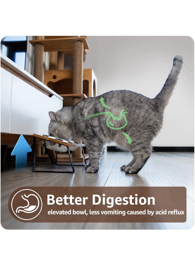 AYADA Elevated Cat Bowls, Height Adjustable Raised With Stand Lifted Ergonomic Anti Vomiting Non Slip Slanted Tilted Double Bowls Food Water Stainless Steel - Image 2