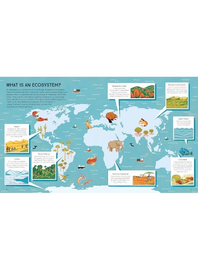 Wildlife in the Balance: The Species that Shape Earth’s Ecosystems - Image 4