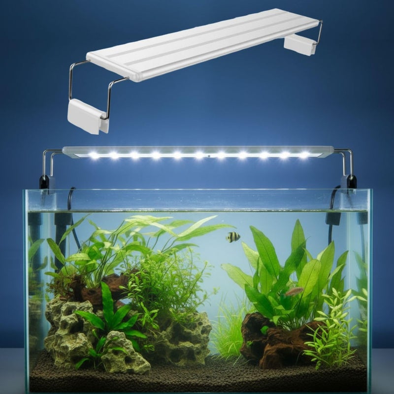 VAYINATO ® ضوء حوض السمك LED (P-600 | أزرق + أبيض | مناسب لـ 50-60 سم) ضوء نحيف بإطار أبيض مع حوامل قابلة للتعديل ومستقرة | للمياه العذبة والمالحة - Image 1