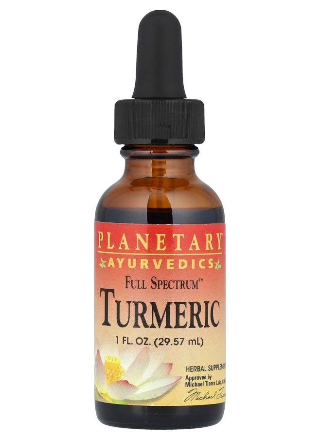 PLANETARY HERBALS Ayurvedics Full Spectrum™  Turmeric 1 fl oz (29.57 ml) 