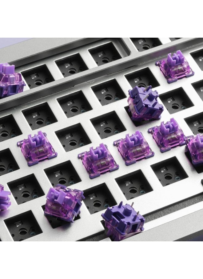 AKKO - Akko Lavender Purple Pro Switches (45 PCS) - Image 1