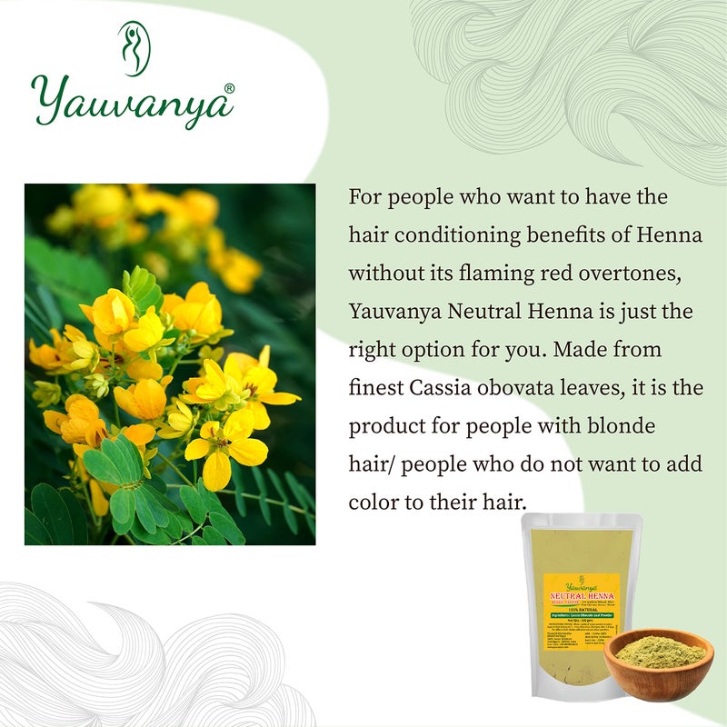 Yauvanya 100% pure Neutral Henna (Cassia Obovata) Powder for Blonde/Golden hair | Colorless Henna | Natural Hair Conditioner | For Soft, Silky, Shiny hair - 3x100gms - Image 2