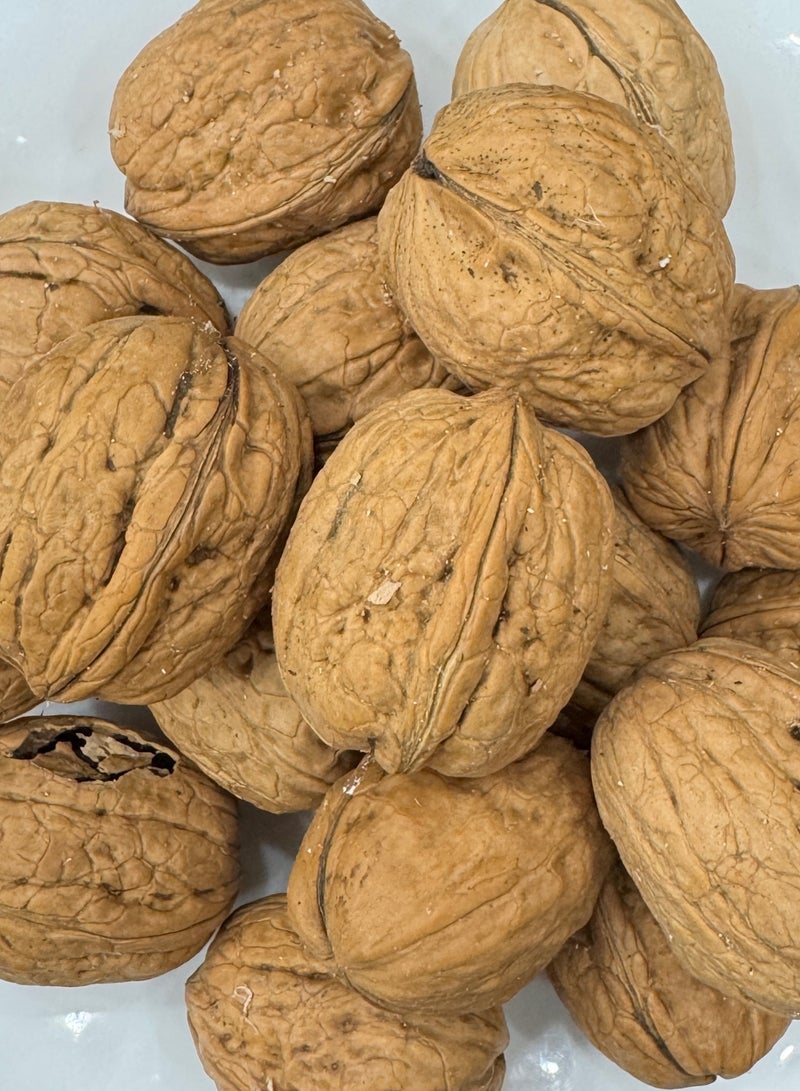 WALNUT IN SHELL 500 GM - Image 1