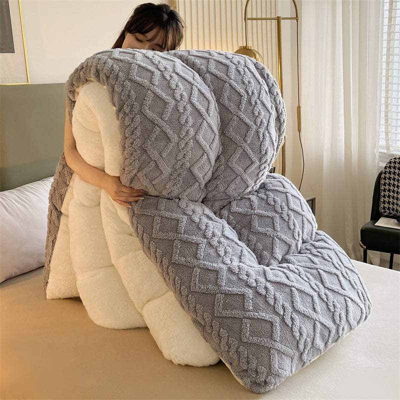 Winter Taffeta Quilt Core Milk Velvet Quilt Double-Sided Velvet Winter Quilt Warm Lamb Velvet Spring & Fall Quilt Cotton Bedding Antibacterial - Image 3