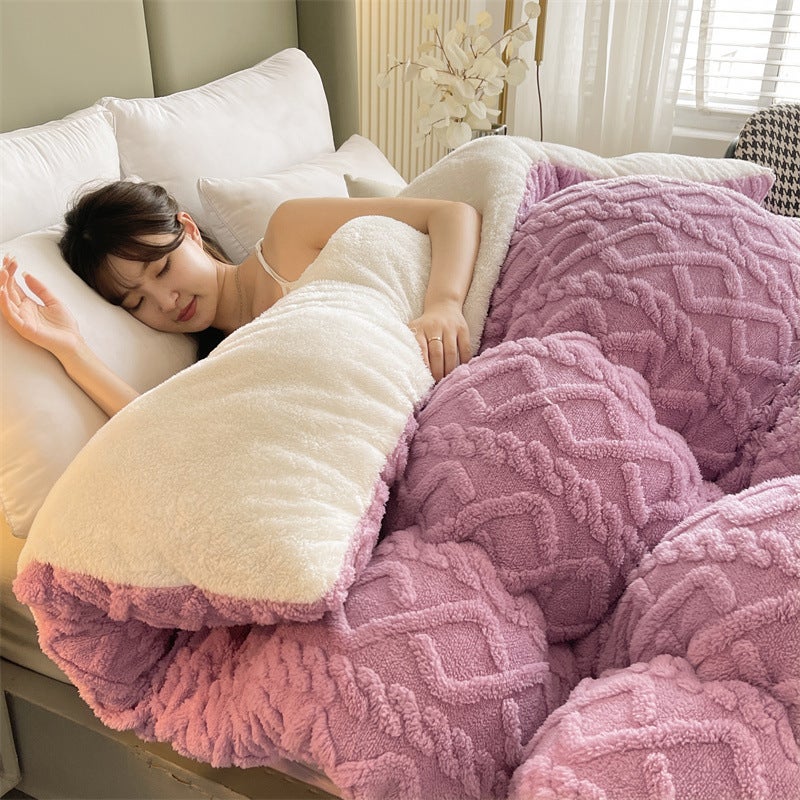 Winter Taffeta Quilt Core Milk Velvet Quilt Double-Sided Velvet Winter Quilt Warm Lamb Velvet Spring & Fall Quilt Cotton Bedding Antibacterial - Image 1
