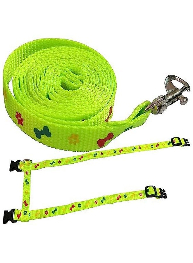 طقم حزام من النايلون للقطط الصغيرة والحيوانات الأليفة الصغيرة | طوق حزام من النايلون | حزام تدريب القطط (مطبوع عليه مخلب باللون الأخضر) - Image 3