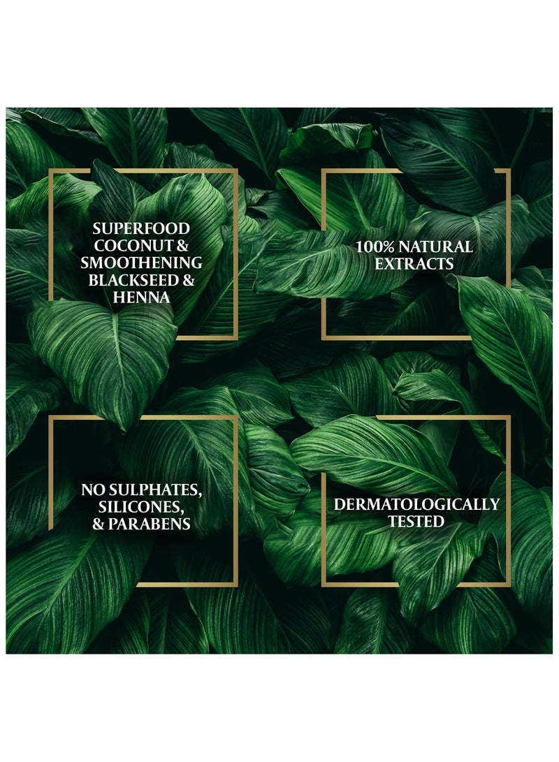 باراشوت زيت جوز الهند للشعر الغني بالحبة السوداء و الحناء، لشعر ناعم، خالي من التجاعيد 200 مل - Image 4