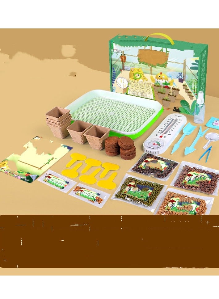 Children's Planting Observation Seed Germination and Growth Scientific Experiment Set Primary School Student DIY Potted Planting Toy  - Image 1