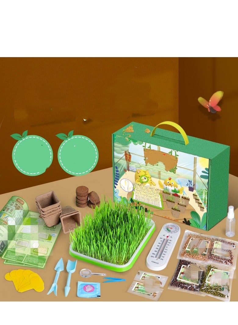 Children's Planting Observation Seed Germination and Growth Scientific Experiment Set Primary School Student DIY Potted Planting Toy  - Image 2