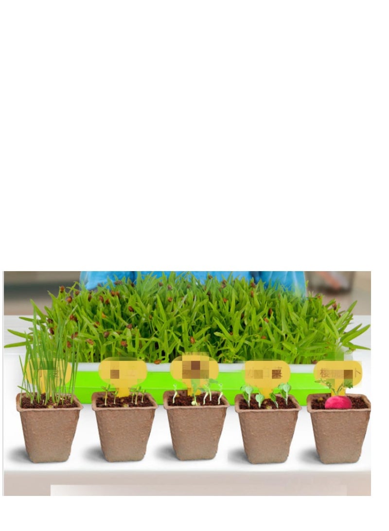Children's Planting Observation Seed Germination and Growth Scientific Experiment Set Primary School Student DIY Potted Planting Toy  - Image 3