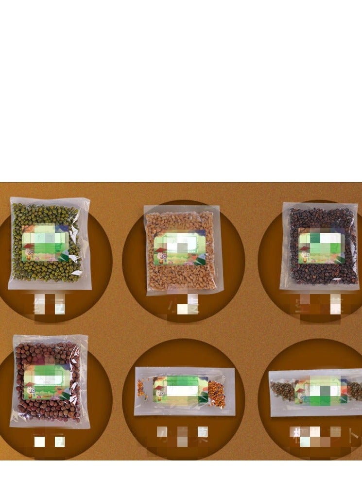 Children's Planting Observation Seed Germination and Growth Scientific Experiment Set Primary School Student DIY Potted Planting Toy  - Image 4