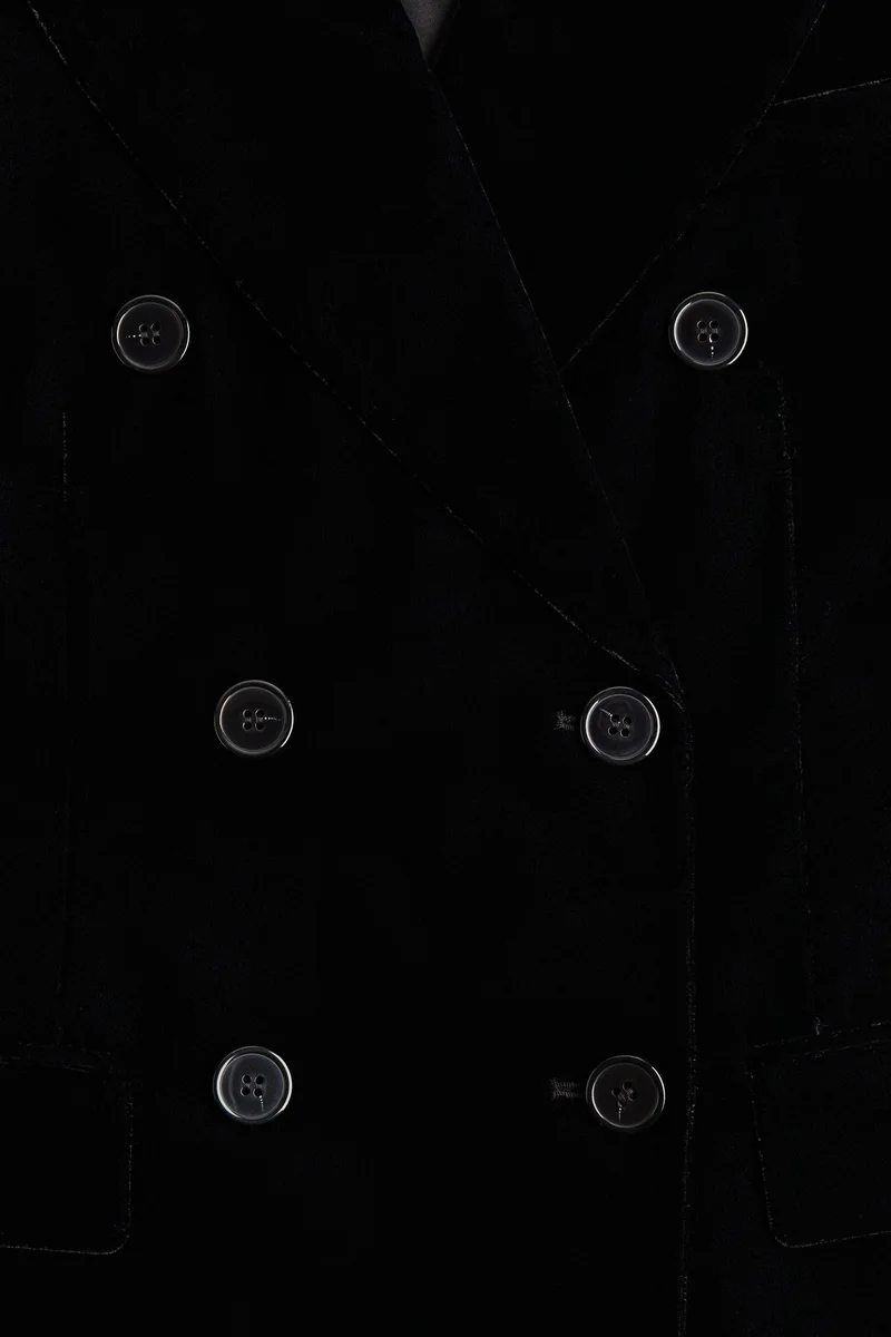 H&M Double-breasted velvet blazer