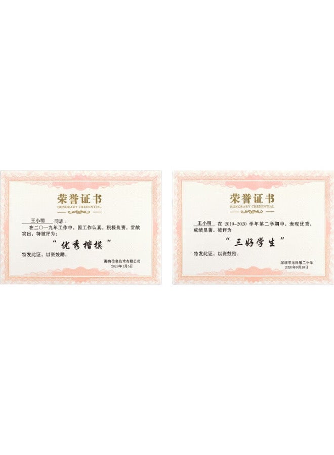 Dsb A4 Honor Certificate Inner Page, 12K Blank Award Certificate Inner Page, Printable Commendation Letter, Outstanding Employee Honor Certificate, 12K (A4) Inner Page - 10 Sheets, 050814 - Image 2