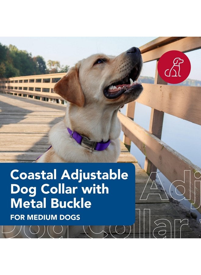 Coastal Pet Adjustable Dog Collar with Metal Buckle - Fade-Resistant Dog Collar Perfect for Walking & Tie Outs - Comfortable Collar with Snap Lock - Purple - 3/4" x 14" - 20" - Image 2