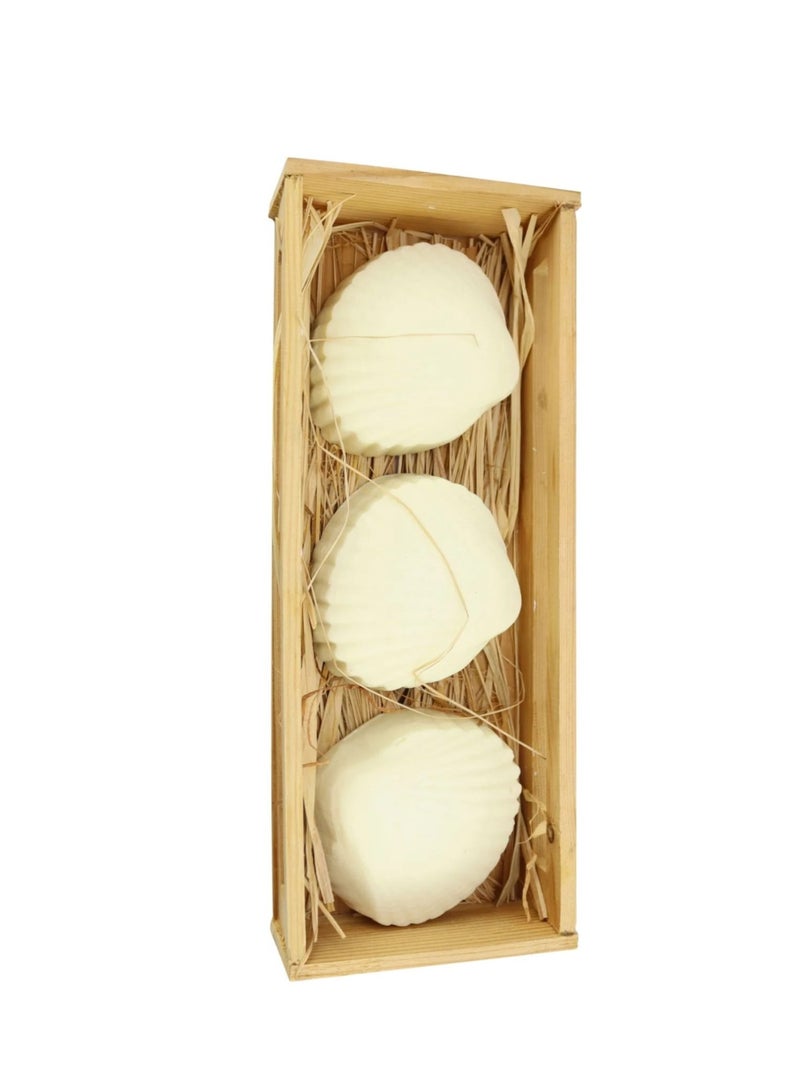 نيفيرتاري مجموعة صابون بأشكال مختلفة من نفرتاري