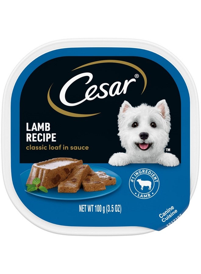 CESAR CLASSICS With Lamb in Meaty Juices Dog Food Trays 3.5 Ounces (Pack of 24) - Image 1