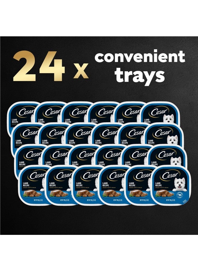 CESAR CLASSICS With Lamb in Meaty Juices Dog Food Trays 3.5 Ounces (Pack of 24) - Image 2