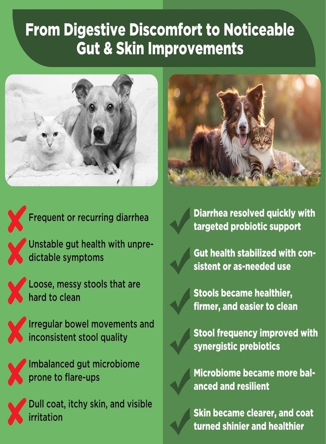 BiKontrun S.boulardii + FOS Pet Probiotic Powder for Dogs & Cats, 6.7 Billion CFU, Gut & Immune Support, Loose Stool & Digestive Upset Relief, Improves Stool Consistency, Skin Health, Veterinarian Recommended - Image 5