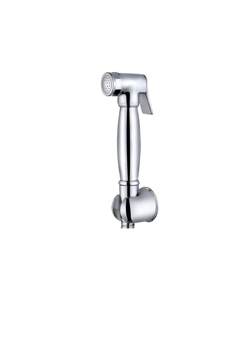 DANUBE HOME - Danube Home Brass - Milano Luxury Brass Shattaf Set Chrome - Image 1