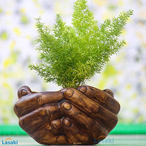 Lasaki Hand Antique Hand-Shaped Flower Planter for Indoor & Outdoor Plants | Decorative Balcony, Garden & Office Succulent Pot | Unique Designer Gamla Plant Holder (18cm X 16cm X 9cm) - Image 3