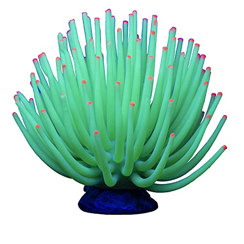 GloFish Anemone Ornament, Detailed Aquarium Ornament, Large Green, Creates A Glowing Effect (Pack of 1) - Image 4