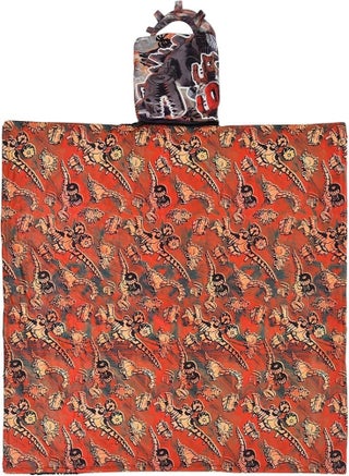 Disney Dino Ranch 2-in-1 Blanket and Backpack – Soft Fleece Throw for Kids - pzsku/Z82305D229169F1602CEAZ/45/1748433536/77f01566-9ae6-4fe3-b6c9-e770a075a3b4