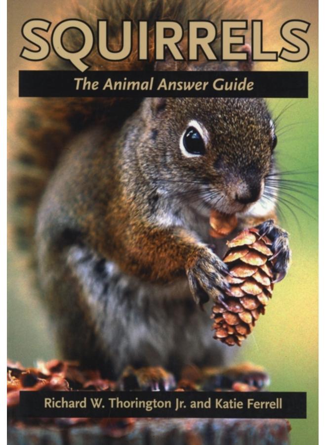 Squirrels : The Animal Answer Guide 