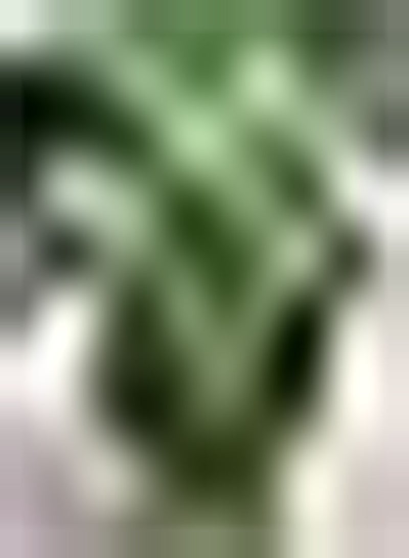 GGOOT 100Stück Basilikumsamen EIN Starkes und attraktives Aroma Kräutersamen Werden drinnen und draußen angebaut um die Luft zu reinigen und den Innenhof zu dekorieren - Image 1