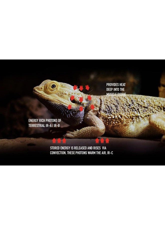 Arcadia Deep Heat Emitter 50watt for Reptile Enclosures - Image 4