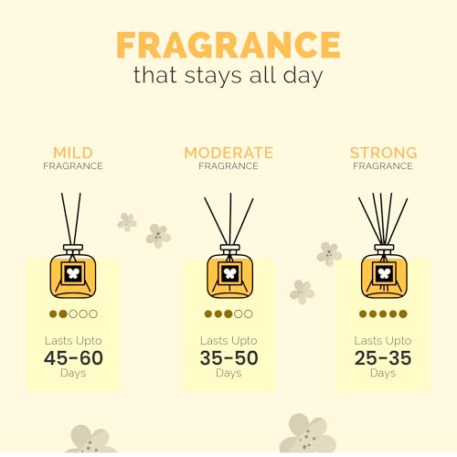 IRIS Glass Glitter Reed Diffuser Set | 100ml Gold Musk Fragrance Oil with 6 Reed Sticks | Elegant Home Aroma Diffuser for Living Room, Bedroom & Gifting | Sparkling Glass Design - Image 4